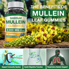 2 Pack Sugar Free 3000MG Mullein Gummies - Simhould